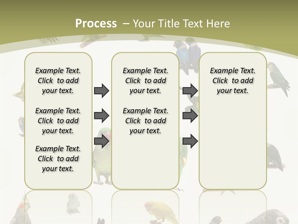 Domestic Animal Peachfaced Orange PowerPoint Template