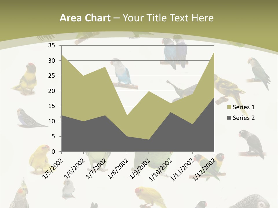 Domestic Animal Peachfaced Orange PowerPoint Template