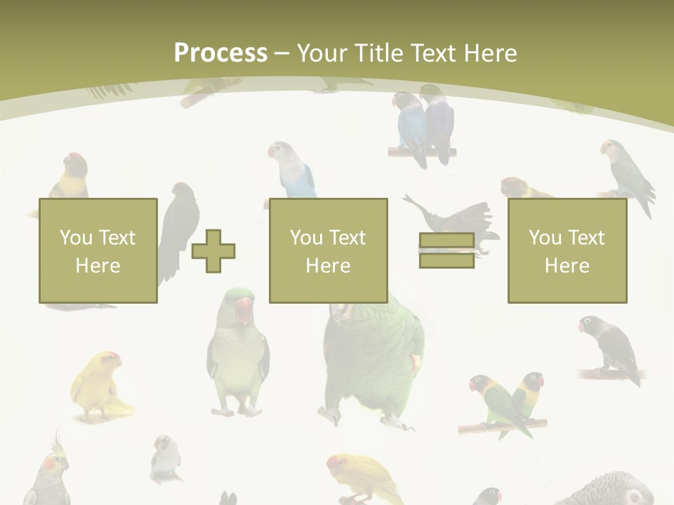 Domestic Animal Peachfaced Orange PowerPoint Template