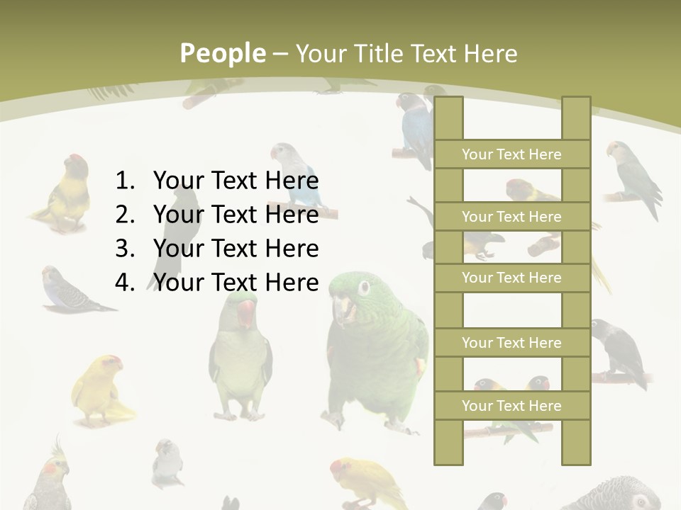 Domestic Animal Peachfaced Orange PowerPoint Template