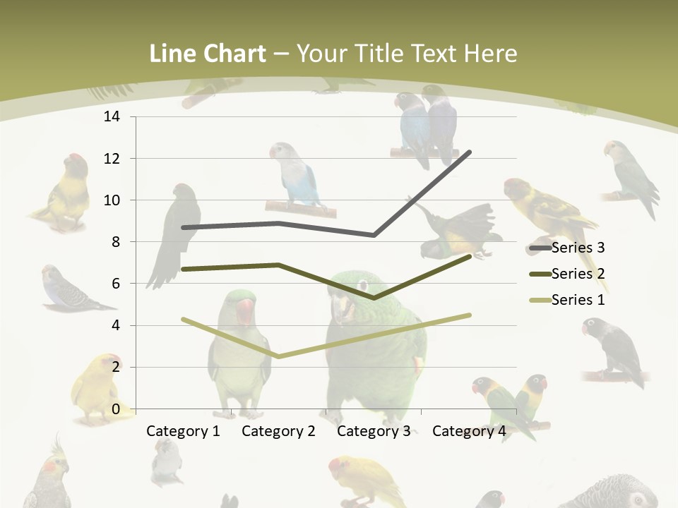 Domestic Animal Peachfaced Orange PowerPoint Template