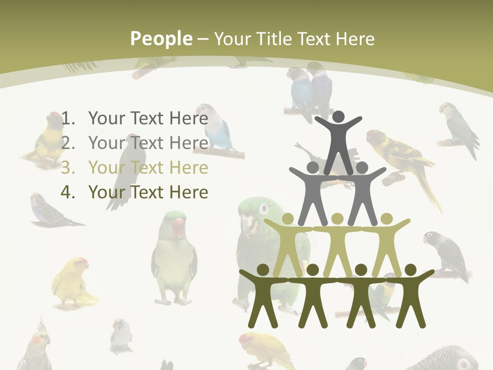 Domestic Animal Peachfaced Orange PowerPoint Template