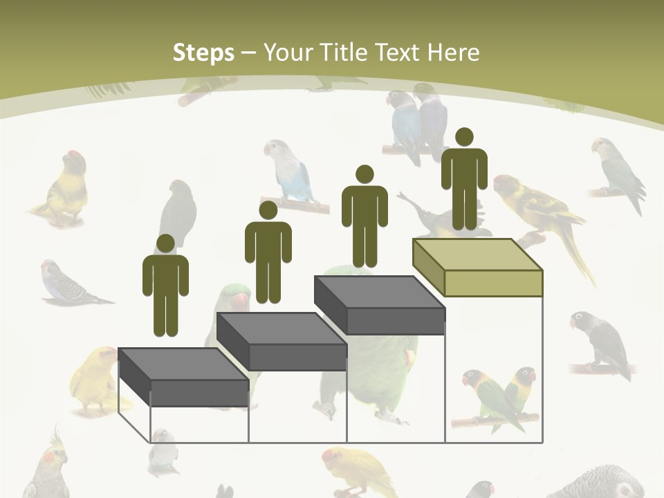 Domestic Animal Peachfaced Orange PowerPoint Template