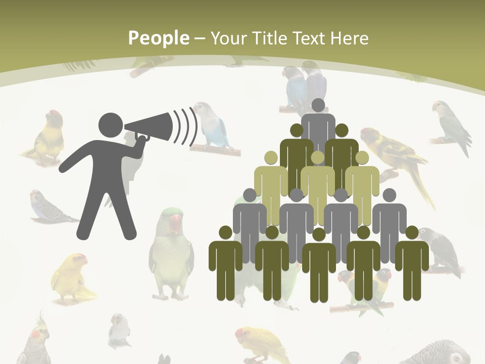 Domestic Animal Peachfaced Orange PowerPoint Template