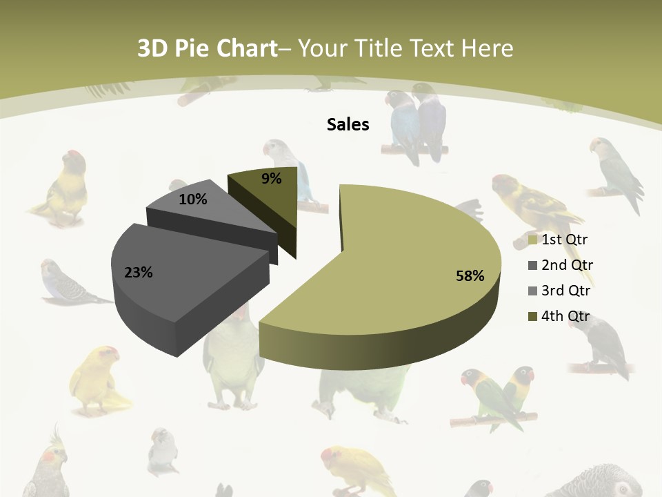 Domestic Animal Peachfaced Orange PowerPoint Template