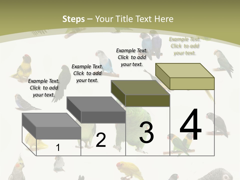 Domestic Animal Peachfaced Orange PowerPoint Template