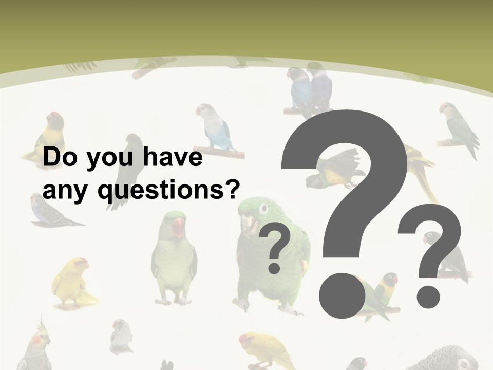 Domestic Animal Peachfaced Orange PowerPoint Template