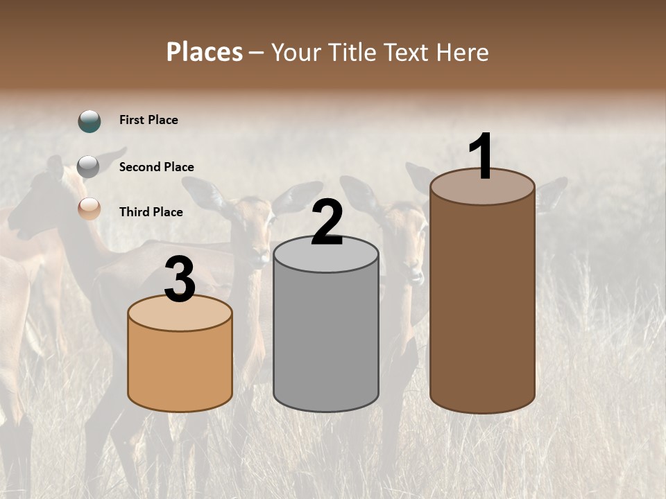 Fauna Ecology National PowerPoint Template