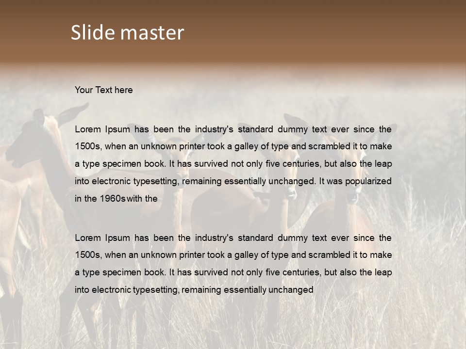 Fauna Ecology National PowerPoint Template