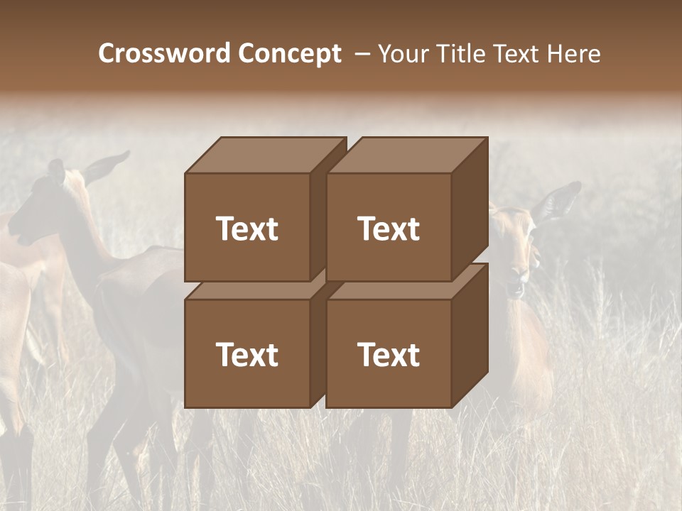Fauna Ecology National PowerPoint Template