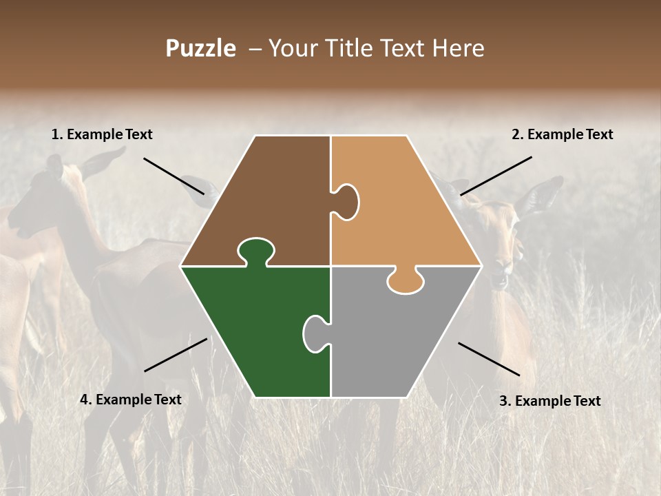 Fauna Ecology National PowerPoint Template