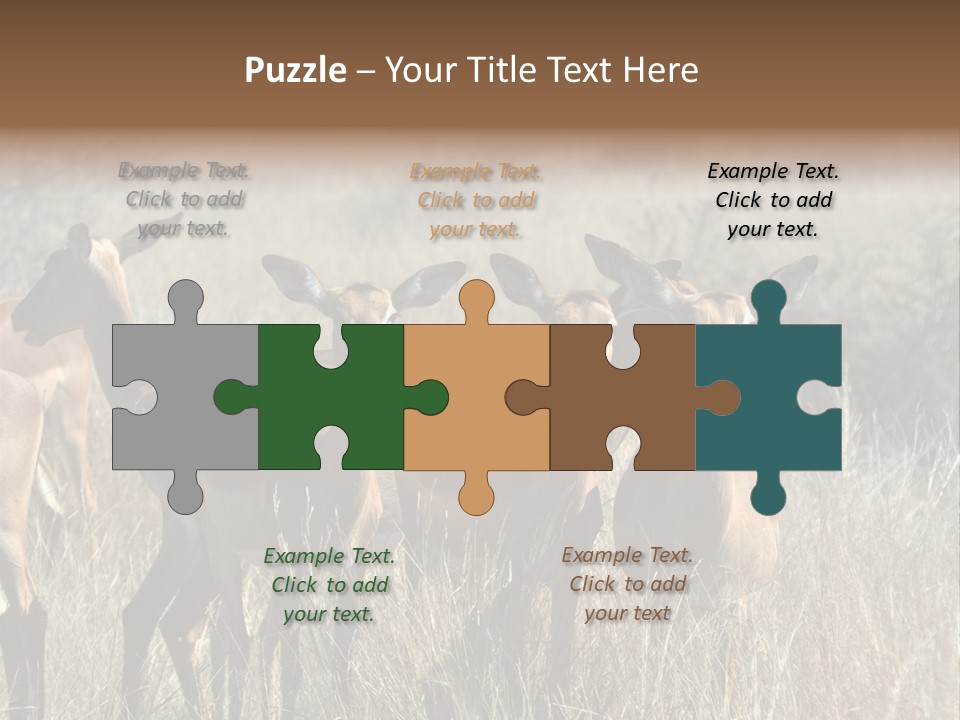 Fauna Ecology National PowerPoint Template