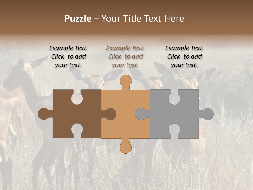 Fauna Ecology National PowerPoint Template