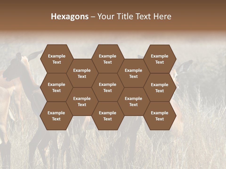 Fauna Ecology National PowerPoint Template