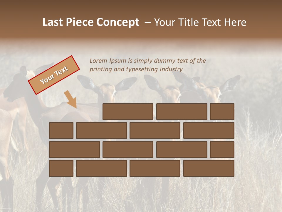 Fauna Ecology National PowerPoint Template