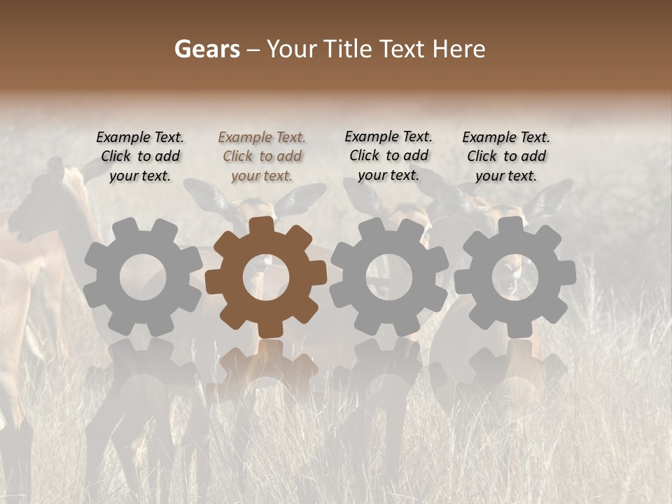 Fauna Ecology National PowerPoint Template