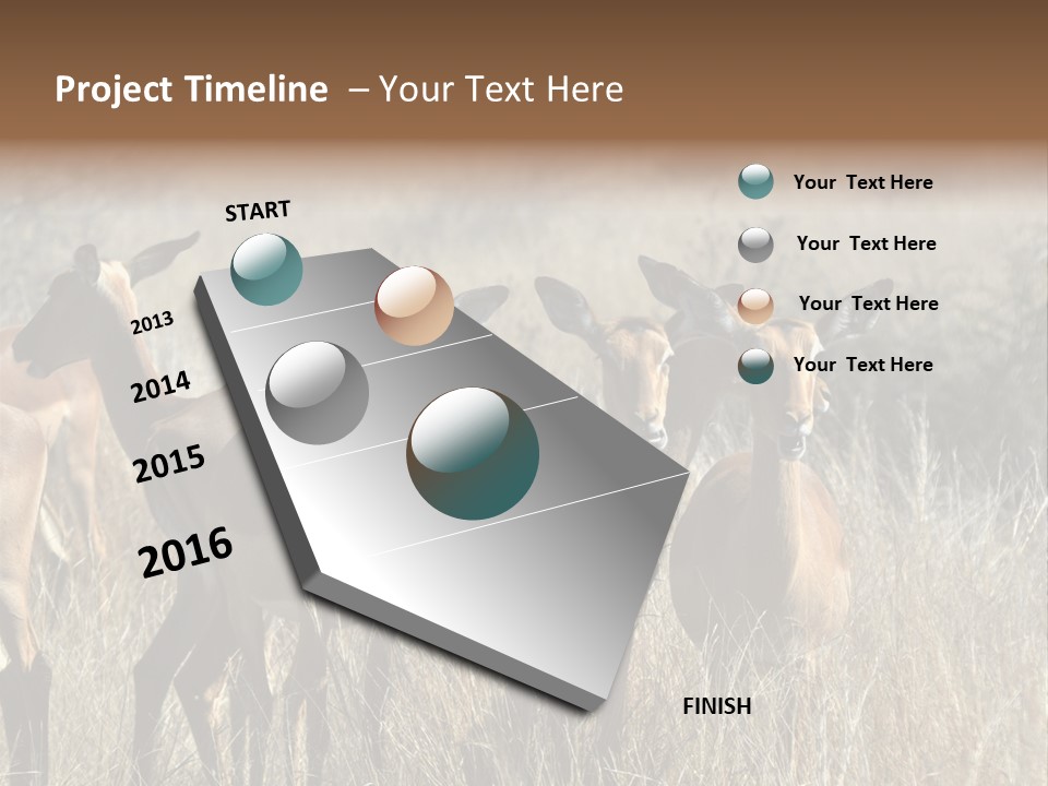 Fauna Ecology National PowerPoint Template