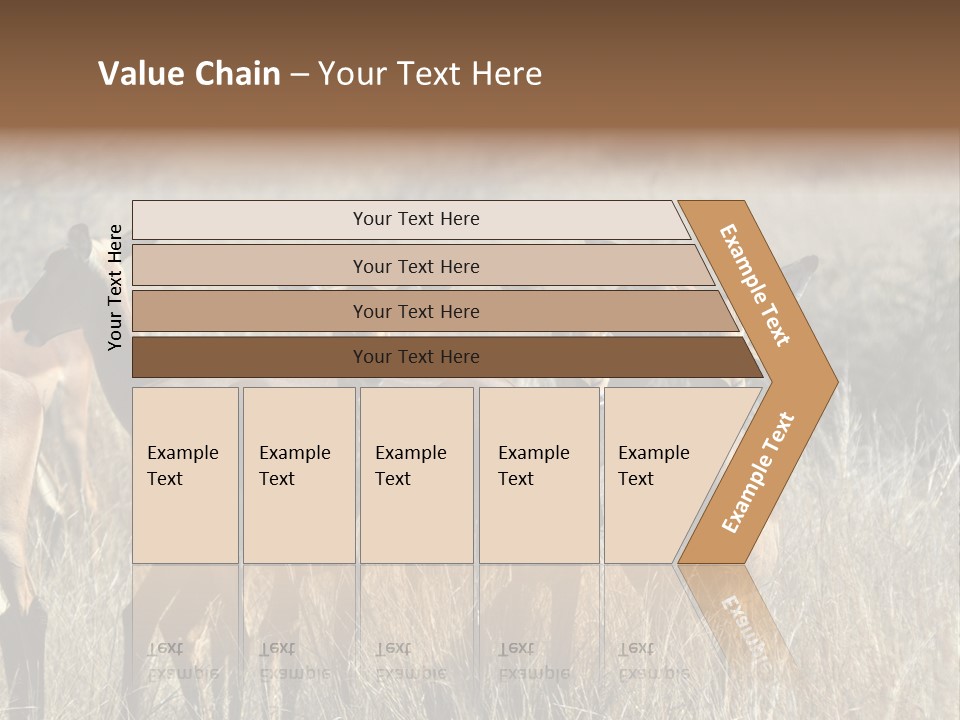 Fauna Ecology National PowerPoint Template
