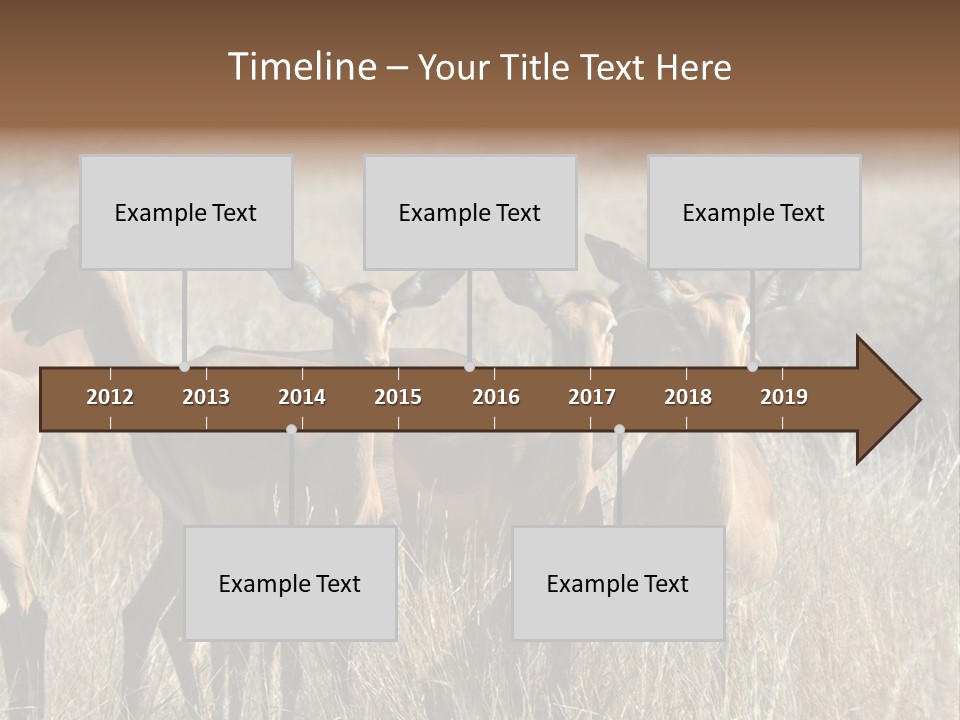 Fauna Ecology National PowerPoint Template