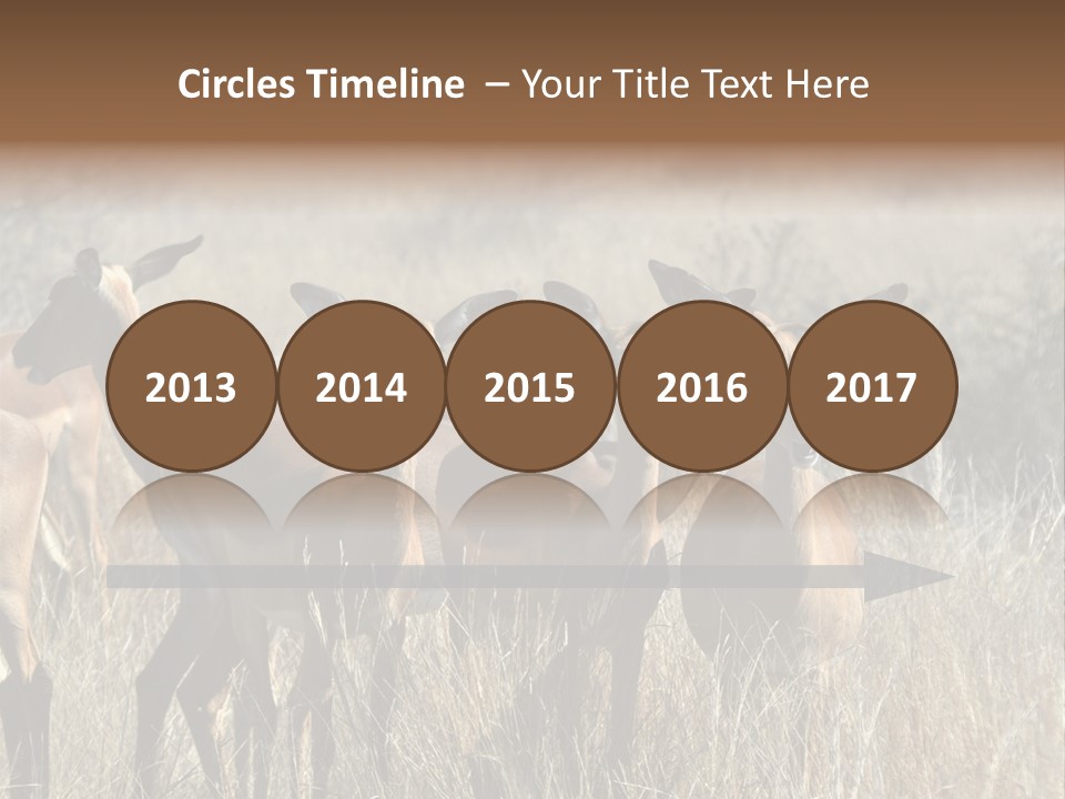 Fauna Ecology National PowerPoint Template