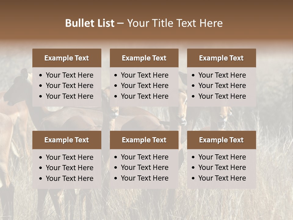 Fauna Ecology National PowerPoint Template