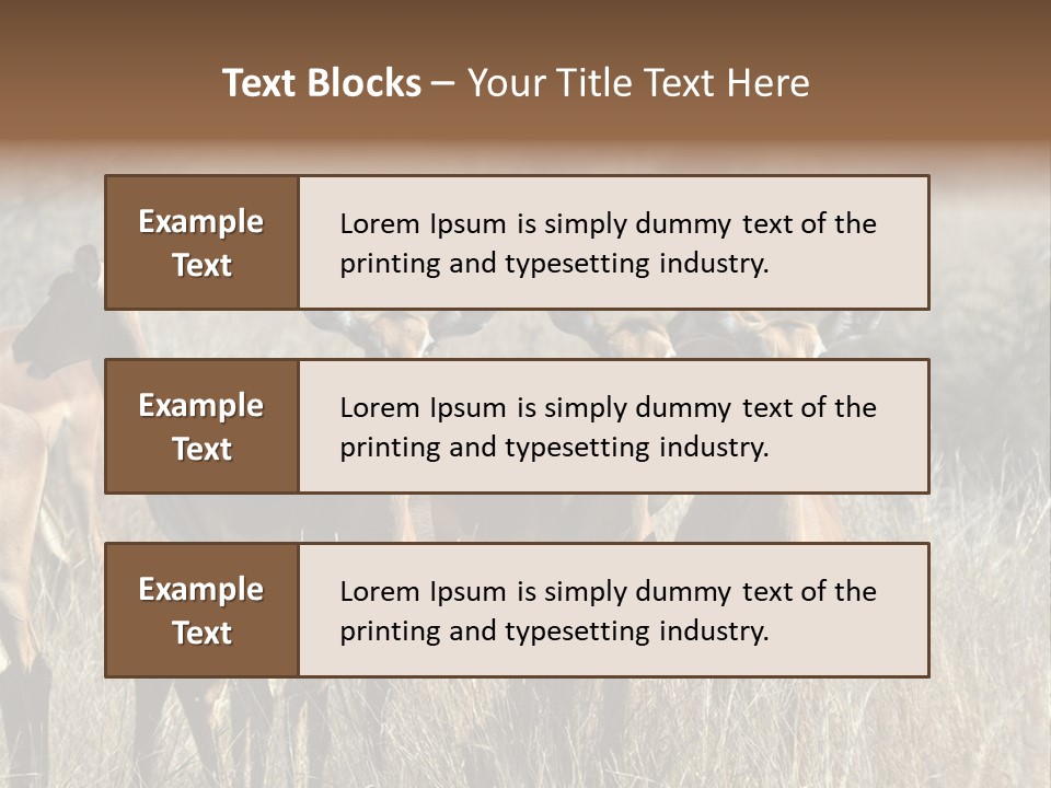 Fauna Ecology National PowerPoint Template