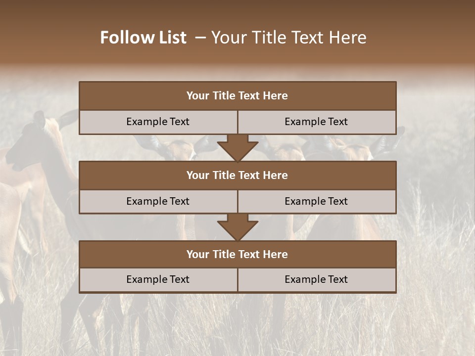 Fauna Ecology National PowerPoint Template