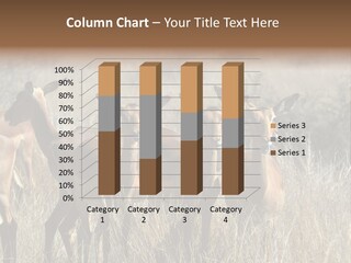 Fauna Ecology National PowerPoint Template