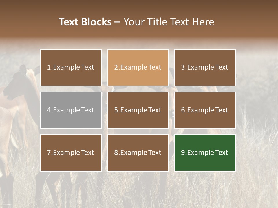 Fauna Ecology National PowerPoint Template