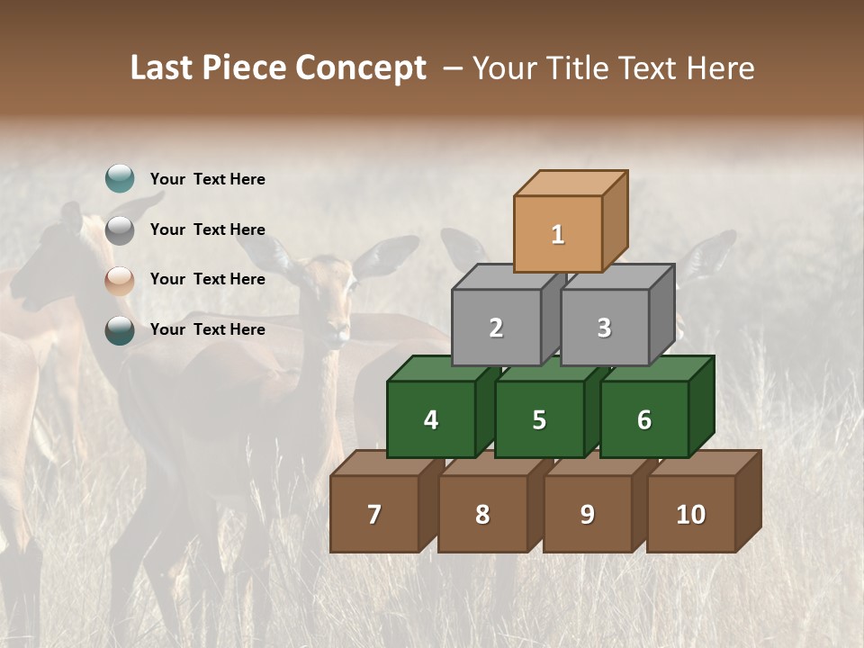 Fauna Ecology National PowerPoint Template