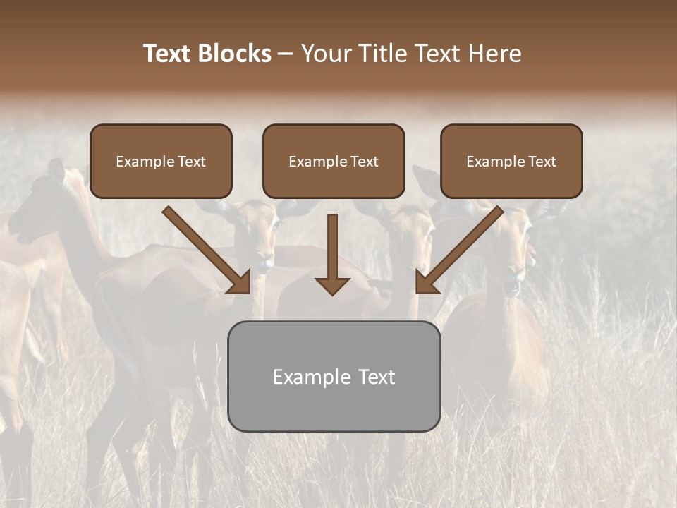 Fauna Ecology National PowerPoint Template