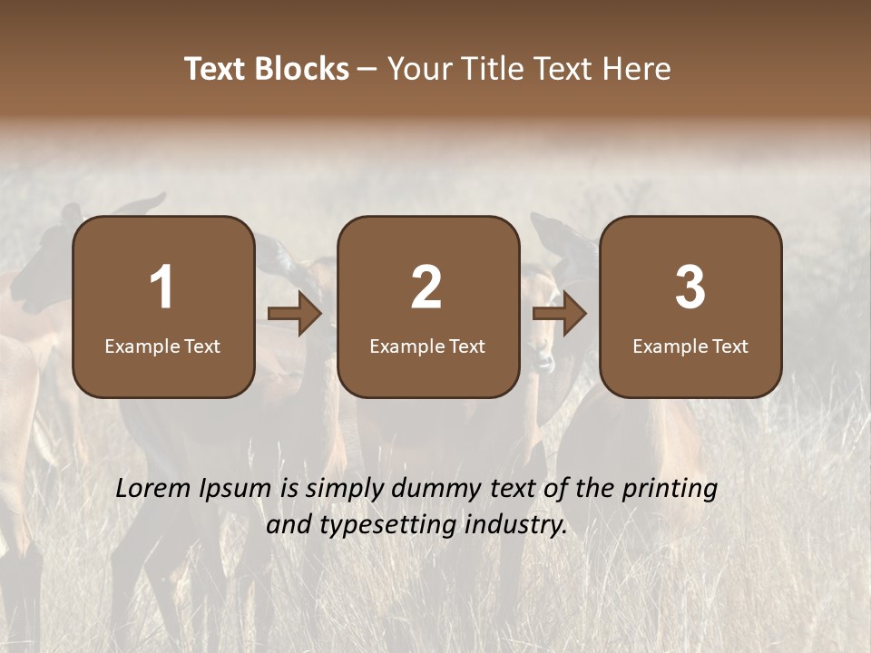 Fauna Ecology National PowerPoint Template