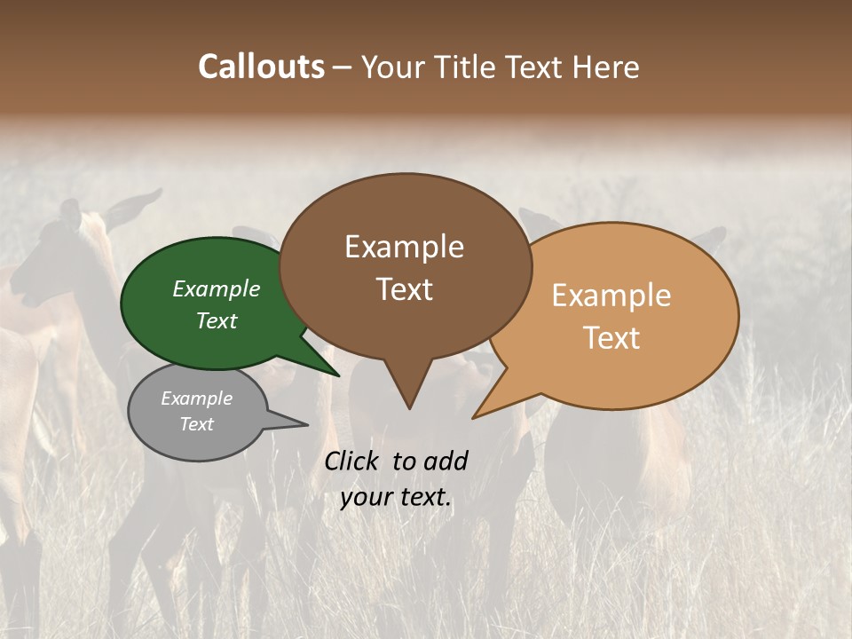 Fauna Ecology National PowerPoint Template