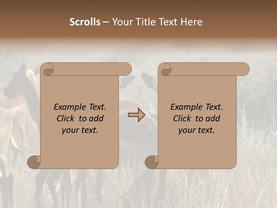 Fauna Ecology National PowerPoint Template
