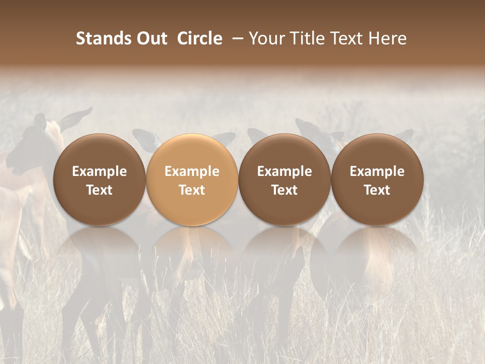 Fauna Ecology National PowerPoint Template