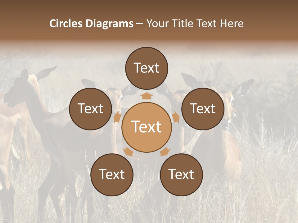 Fauna Ecology National PowerPoint Template