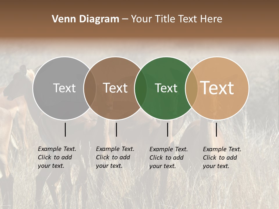 Fauna Ecology National PowerPoint Template