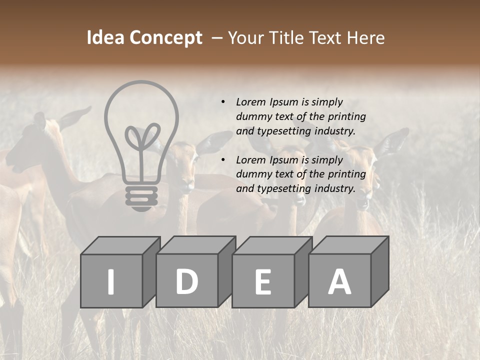 Fauna Ecology National PowerPoint Template