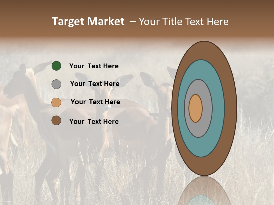 Fauna Ecology National PowerPoint Template