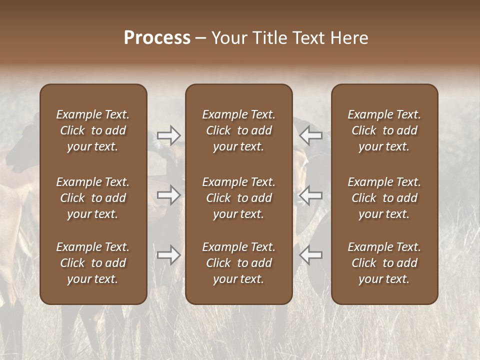 Fauna Ecology National PowerPoint Template