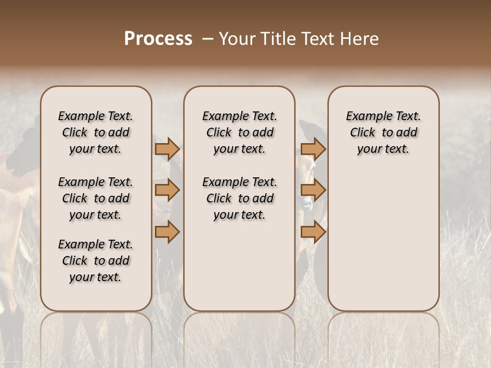 Fauna Ecology National PowerPoint Template