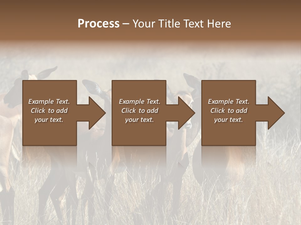 Fauna Ecology National PowerPoint Template