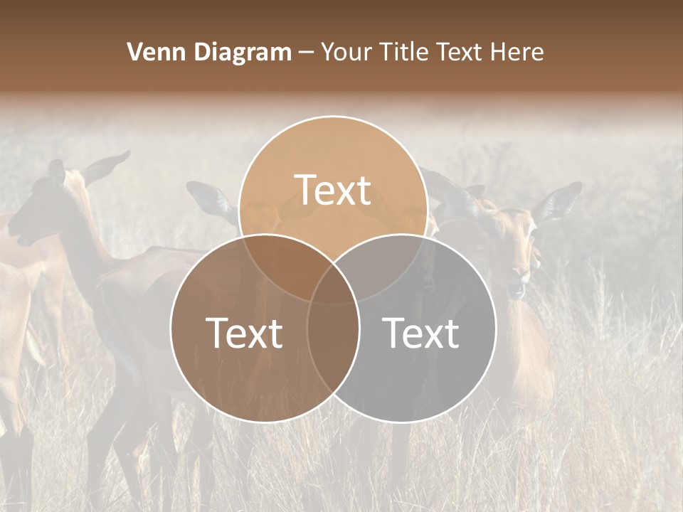 Fauna Ecology National PowerPoint Template