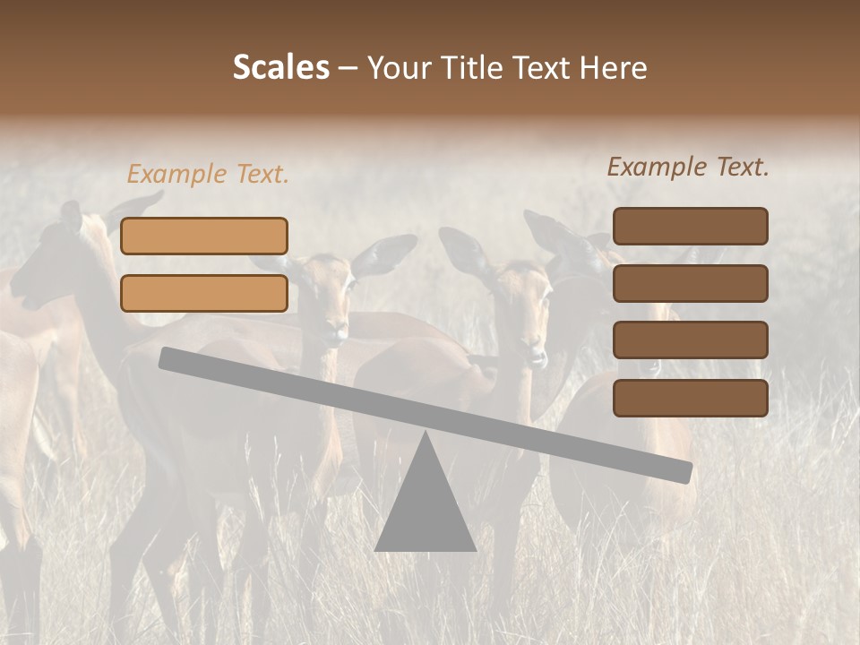 Fauna Ecology National PowerPoint Template