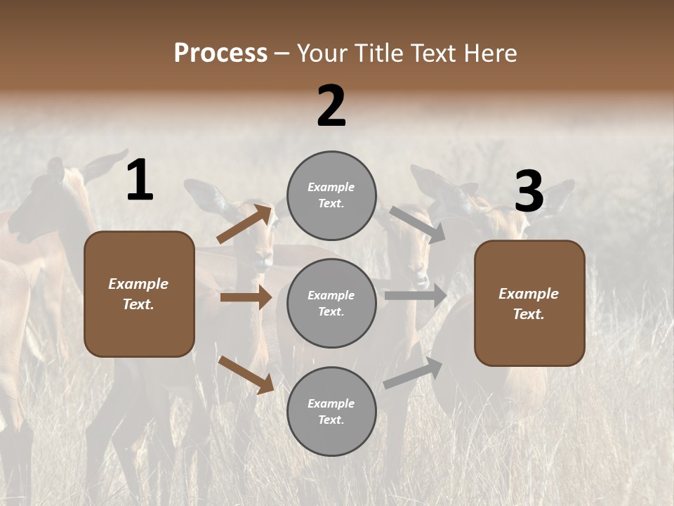 Fauna Ecology National PowerPoint Template