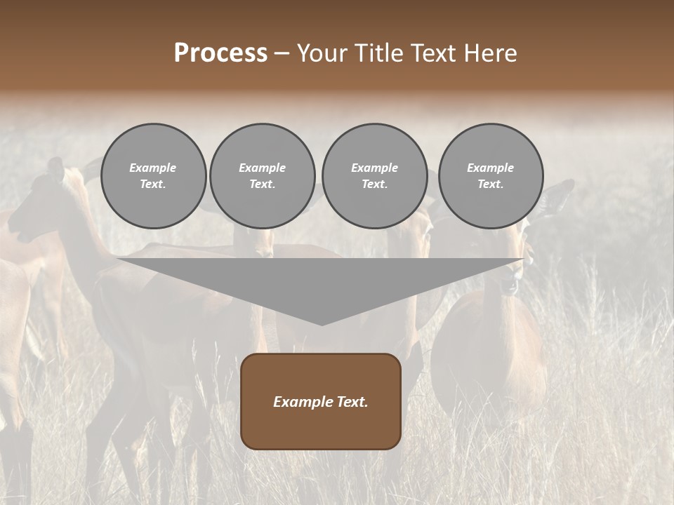 Fauna Ecology National PowerPoint Template