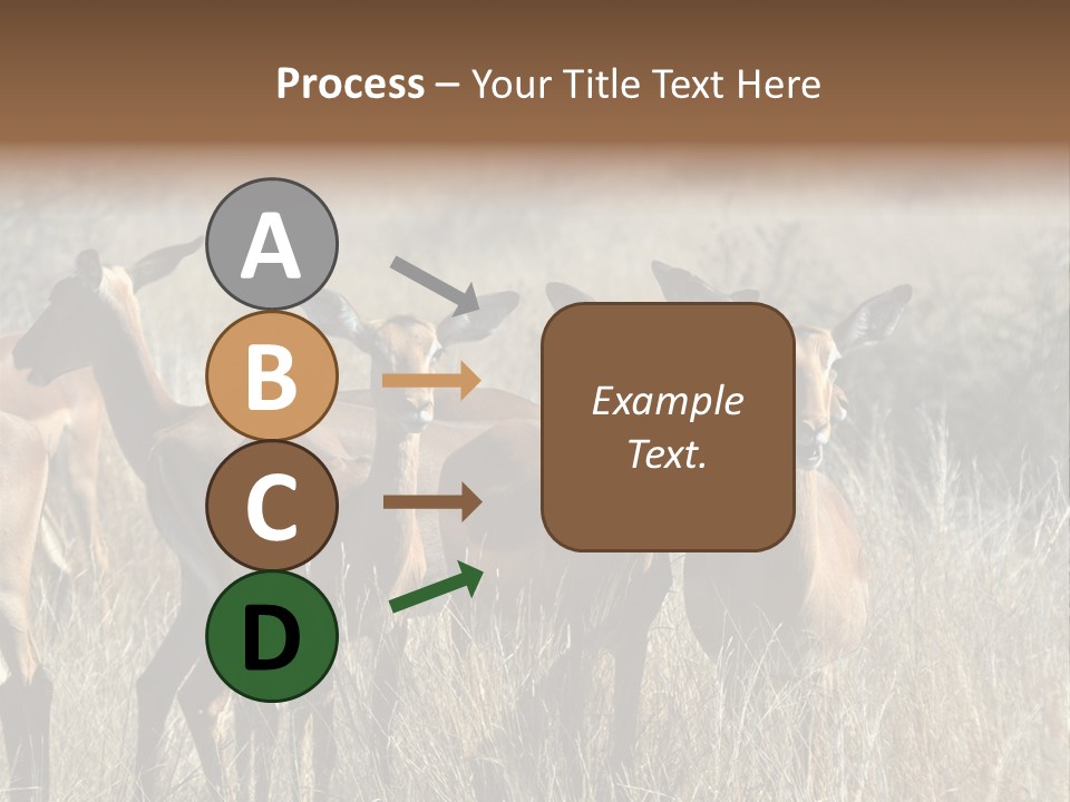 Fauna Ecology National PowerPoint Template