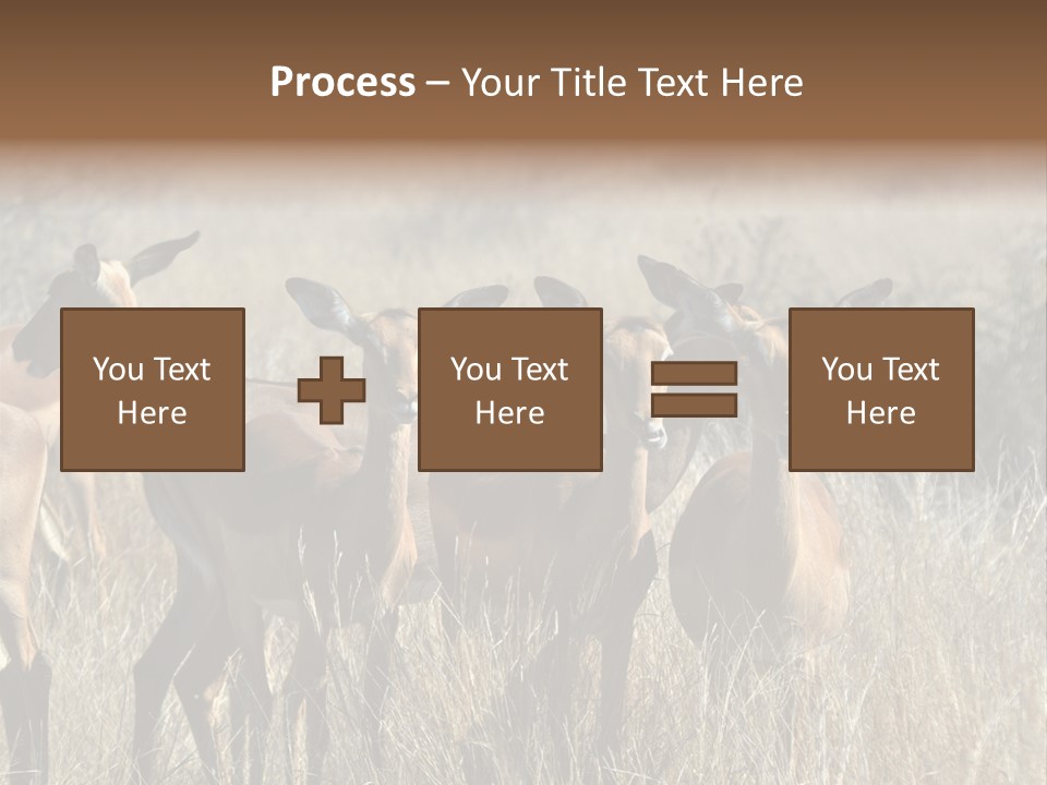 Fauna Ecology National PowerPoint Template