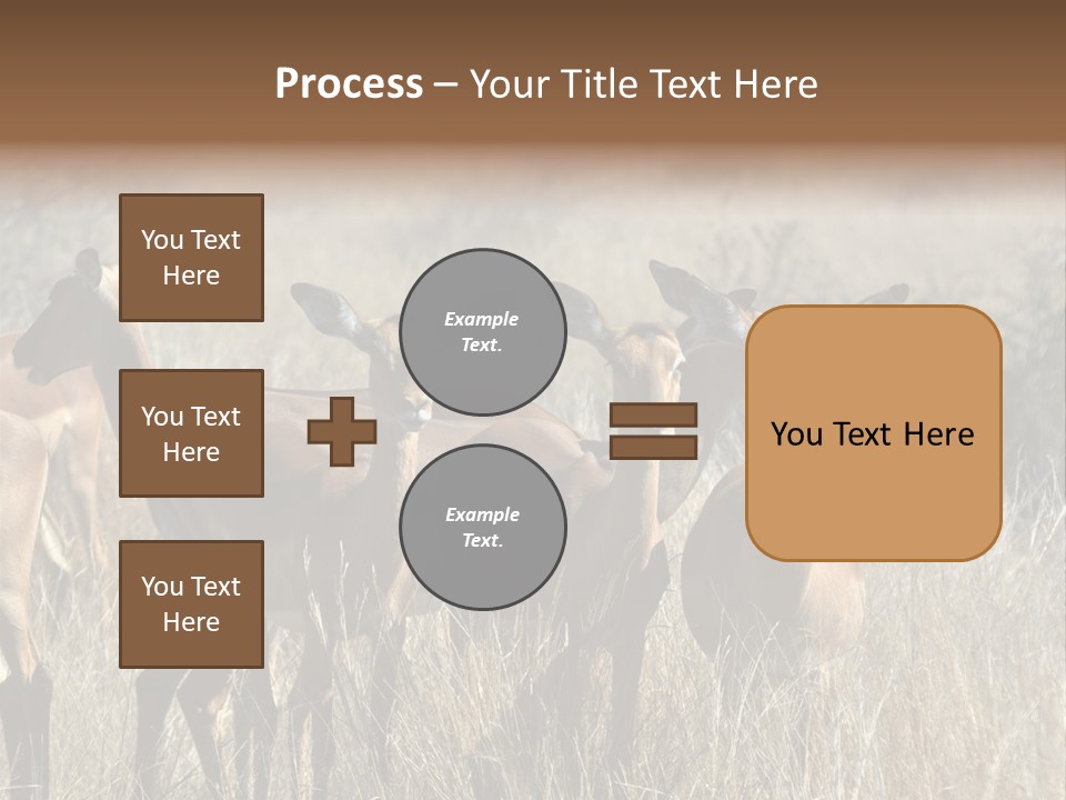 Fauna Ecology National PowerPoint Template