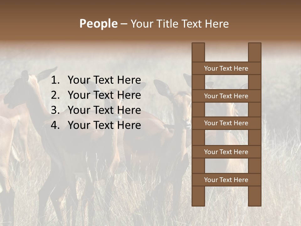 Fauna Ecology National PowerPoint Template